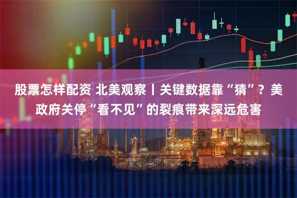 股票怎样配资 北美观察丨关键数据靠“猜”？美政府关停“看不见”的裂痕带来深远危害