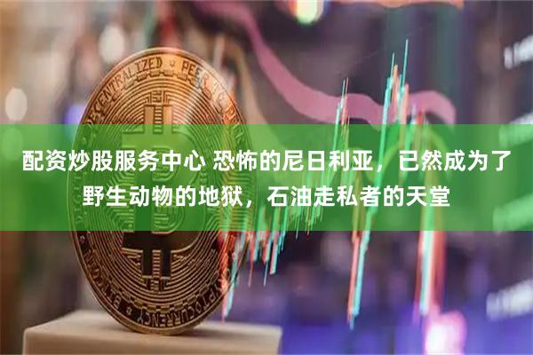配资炒股服务中心 恐怖的尼日利亚，已然成为了野生动物的地狱，石油走私者的天堂