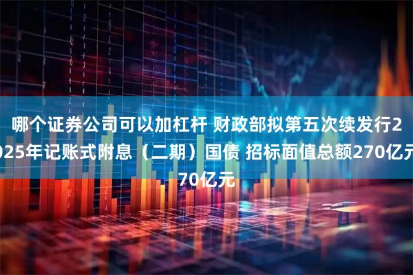 哪个证券公司可以加杠杆 财政部拟第五次续发行2025年记账式附息（二期）国债 招标面值总额270亿元